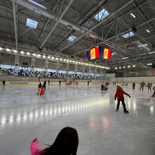 patinoar berceni 11